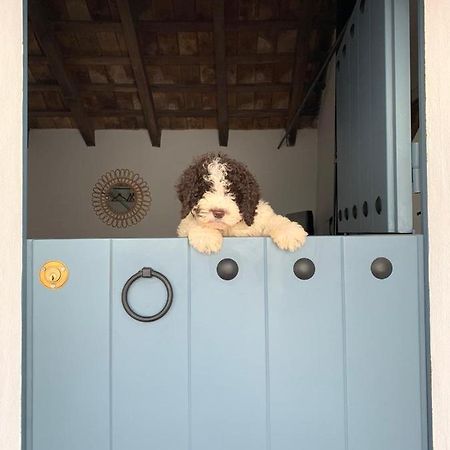 La Puerta Azul Villa Bornos Buitenkant foto